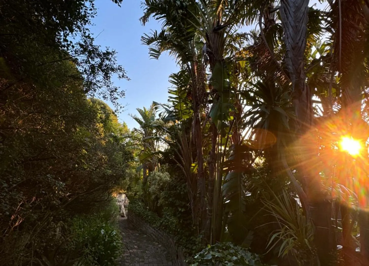 The Gekko Lodge Cape Town