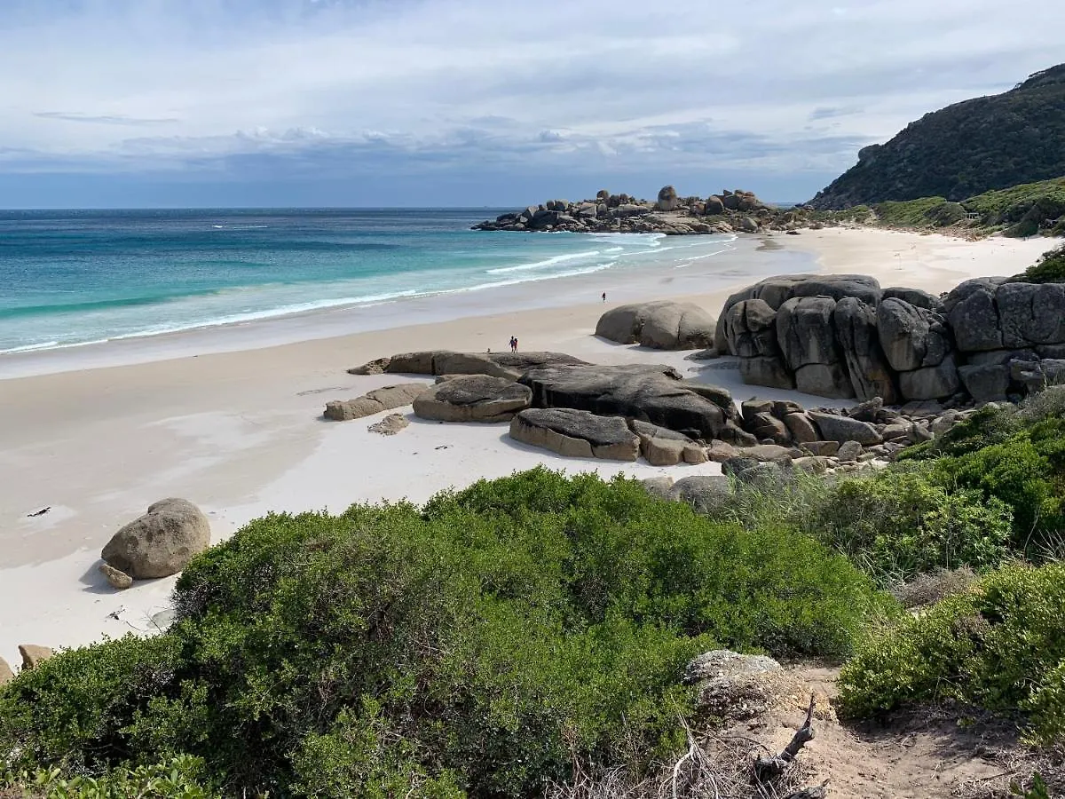 The Gekko Lodge Cape Town Villa