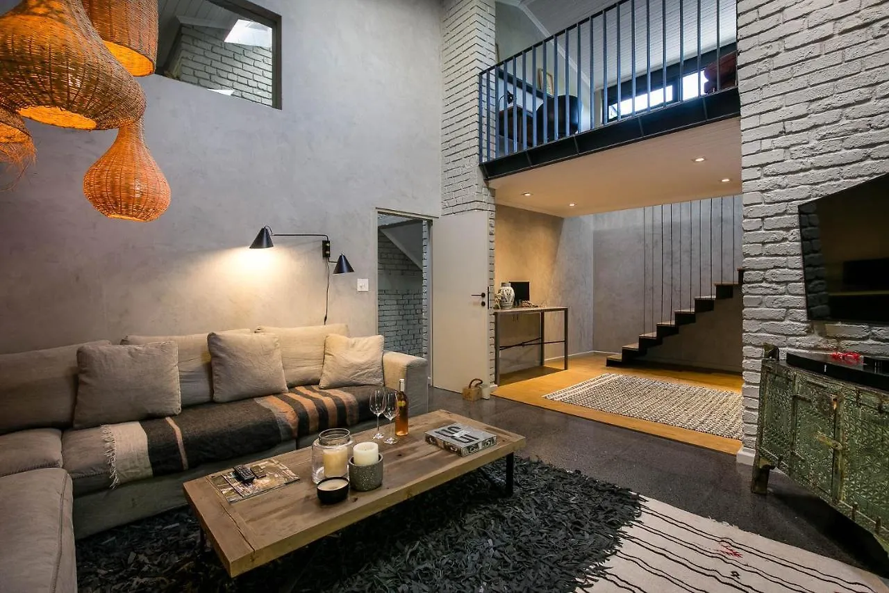 Villa The Gekko Lodge Cape Town Güney Afrika